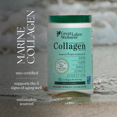 Great Lakes Wellness joint support and gut health potential with marine collagen.