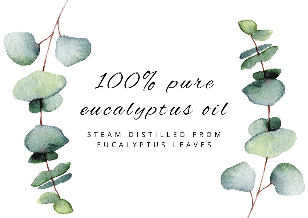 GreenHealth eucalyptus oil bulk 32oz—great for refills and projects.