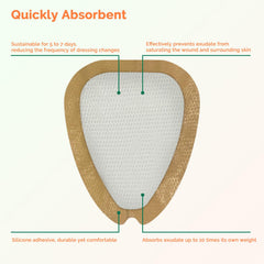Greetmed sacrum dressing close-up highlights non-stick silicone wound contact layer