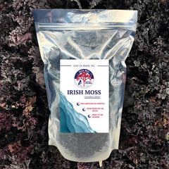 Gulf of Maine Chondrus Crispus purple Irish moss fronds for mineral-rich coastal care.