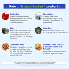 Gundry MD Metabolic Advanced turmeric root extract visual emphasizes antioxidant-friendly ingredients.
