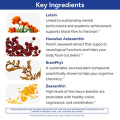 Gundry MD Power Phenols in morning routine for focused energy.