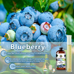 GV77ZF Blueberry Essential Oil enhancing humidifier diffusion in a room.