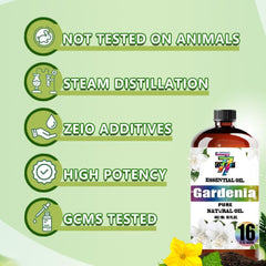 GV77ZF Gardenia Essential Oil gift box ideal for gifting occasions.