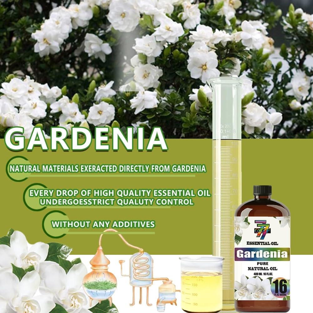 GV77ZF Gardenia Essential Oil ideal for yoga and meditation atmospheres.