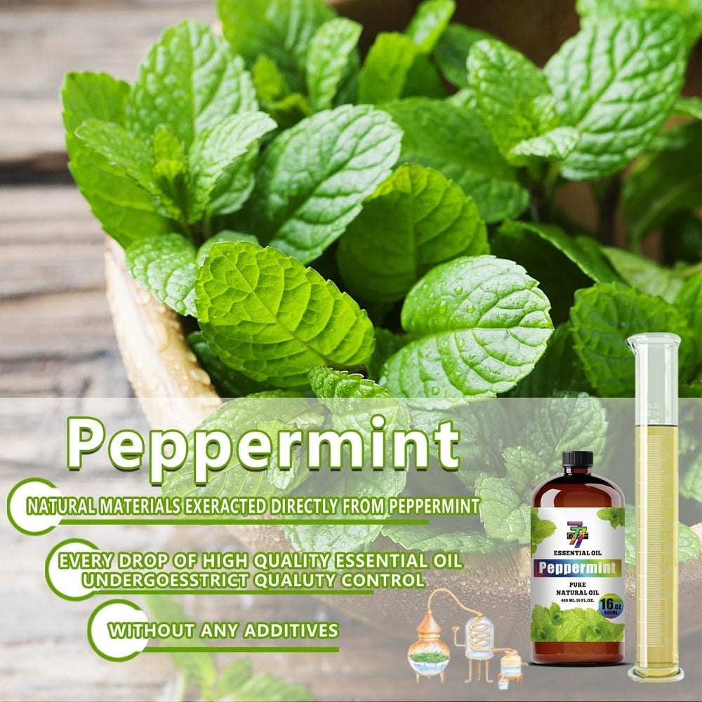 GV77ZF peppermint oil being diluted for safe diffusion at 1:10