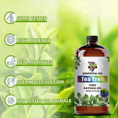 GV77ZF Tea Tree essential oil in spa-like humidifier setup.