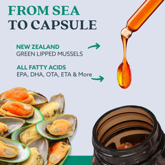 GLX3 capsule close-up illustrating small burpless capsules for easy swallowing.