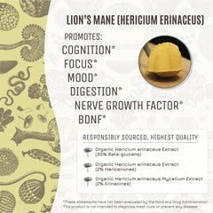 Measuring scoop beside Hamilton's Lucid Lion's Mane for easy daily dosing.