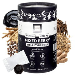 Hampton Distribution Shilajit Gummies bottle for on-the-go energy support.