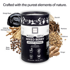 Hampton Distribution Shilajit Gummies with KSM-66 Ashwagandha for daily energy.