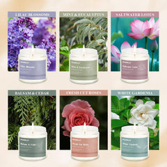 Hanolly 12-pack Fresh Cut Roses candles create romantic ambience