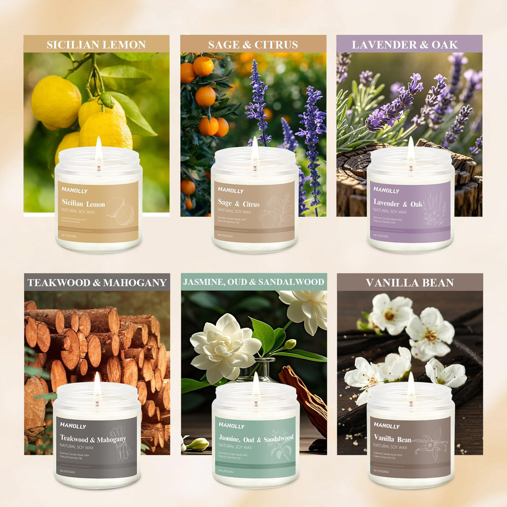 Hanolly 12-pack Lavender & Oak candles for calming routines
