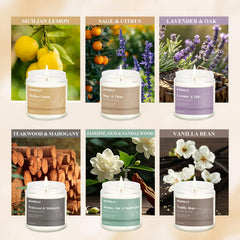 Hanolly 12-pack Lavender & Oak candles for calming routines