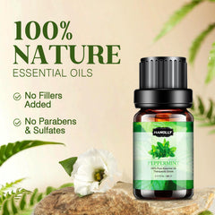 Hanolly Cinnamon oil bottle for warm spice aroma in diffusers and skincare.