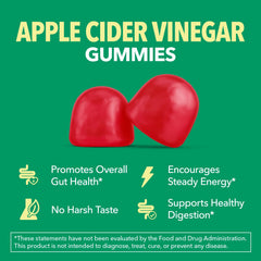 Havasu Nutrition Apple Cider Vinegar Gummies bottle close-up highlighting vegan, non-GMO formula.