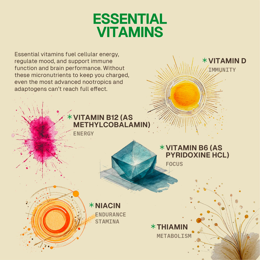 HEAD-START Sunrise Capsules adaptogenic mushroom blend close-up featuring Rhodiola and Reishi