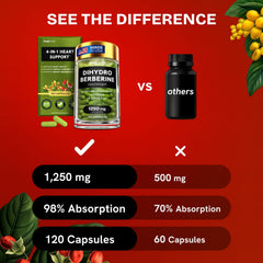HealMeal Dihydroberberine capsules neatly aligned for consistent dosing.