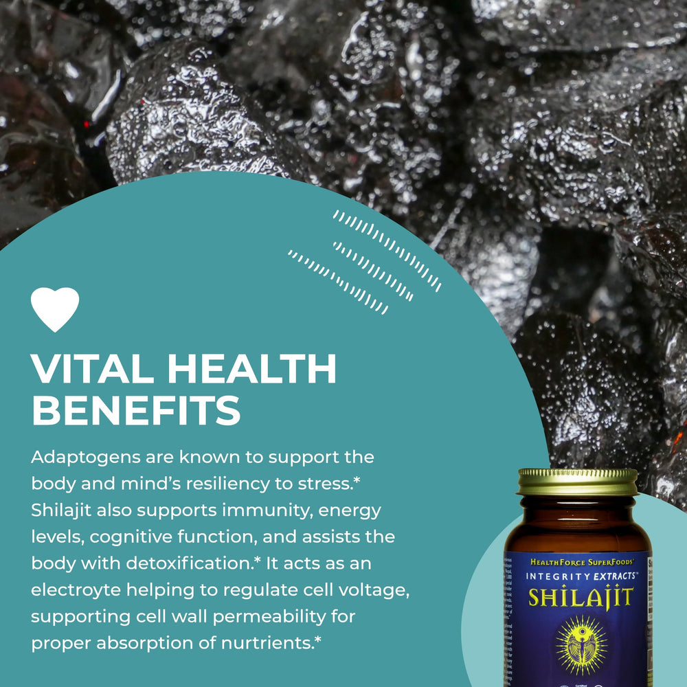 HealthForce Shilajit ingredients highlight ionic minerals for daily support.