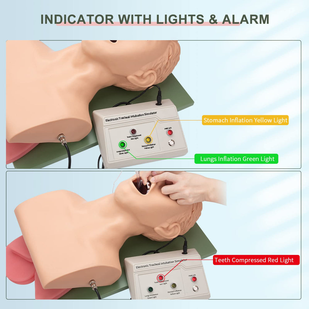 Healthible intubation model demonstrates endotracheal tube placement training.