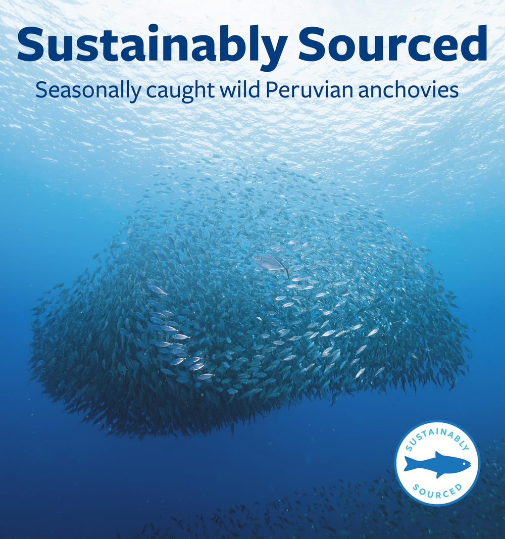Healths Harmony Peruvian anchovy sourcing supports sustainable harvesting.