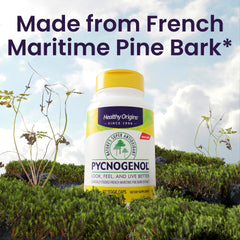 Healthy Origins Pycnogenol bottle with forest origin note on label.
