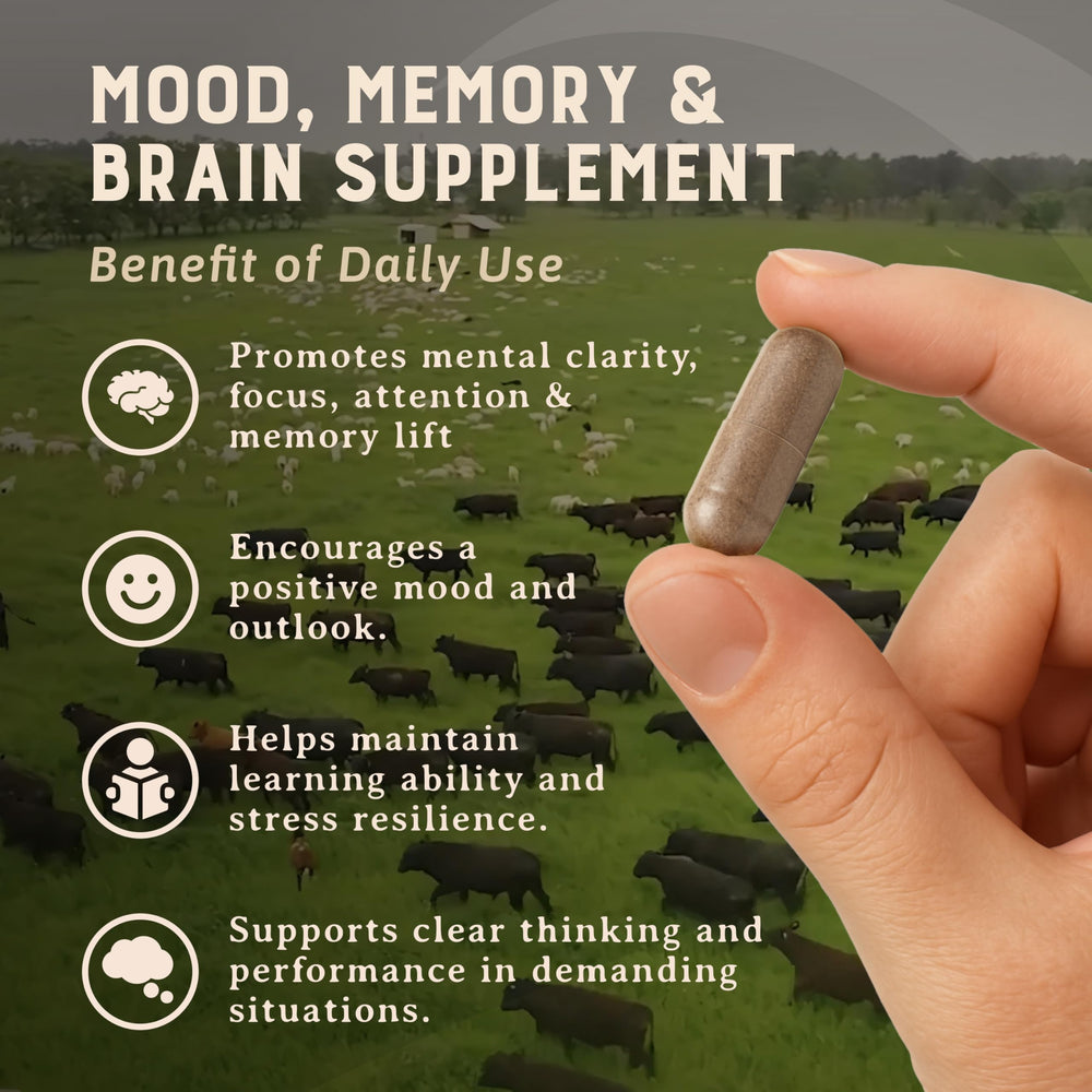 Heart & Soil brain supplement label close-up with non-GMO claim