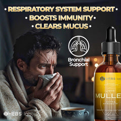 HEBS LAB Mullein Leaf Extract label closeup highlighting premium ingredients
