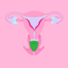 Reusable and sustainable Hello Period Cup Low Cervix packaging and cup