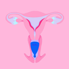 Hello Period Cup soft flexible material offers comfortable all-day wear.