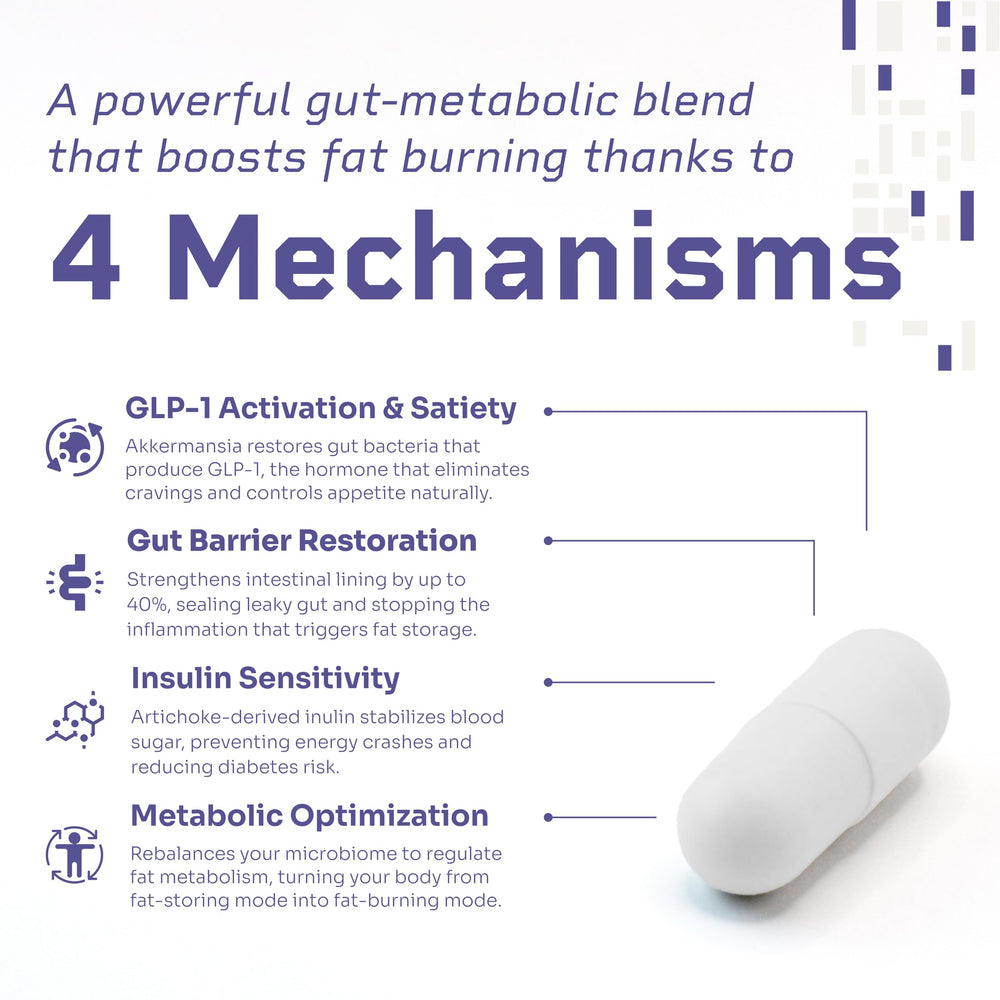 HELLO100 artichoke-derived inulin visualizing prebiotic support for digestion and balance.
