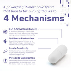 HELLO100 artichoke-derived inulin visualizing prebiotic support for digestion and balance.
