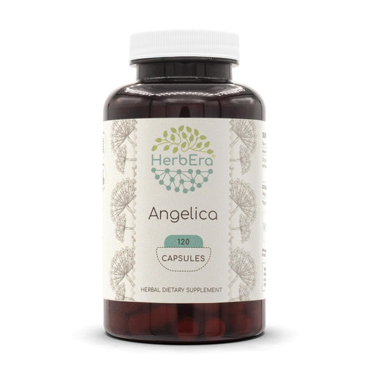 HerbEra Angelica capsules 120-count bottle close-up, premium herbal supplement.