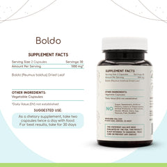 HerbEra Boldo dried leaf close-up showcases natural raw material.