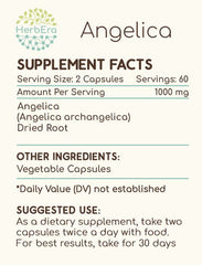 HerbEra dried Angelica archangelica root image, high-quality raw material.