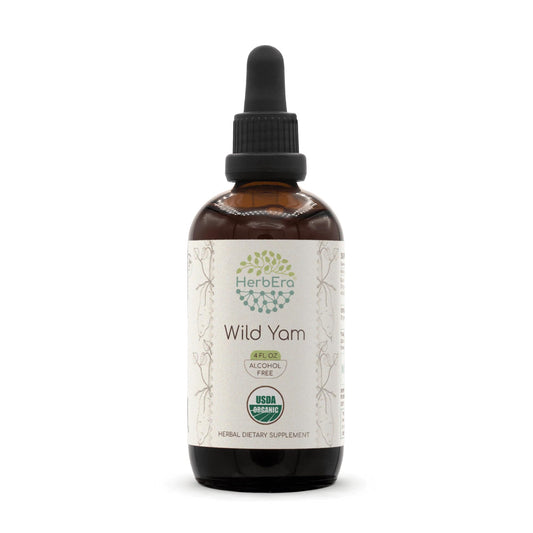 HerbEra Wild Yam B120 bottle with clear tincture and label