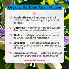 Anxia-T Ease tincture bottle with ingredients arrangement demonstrating natural, alcohol-free formula.