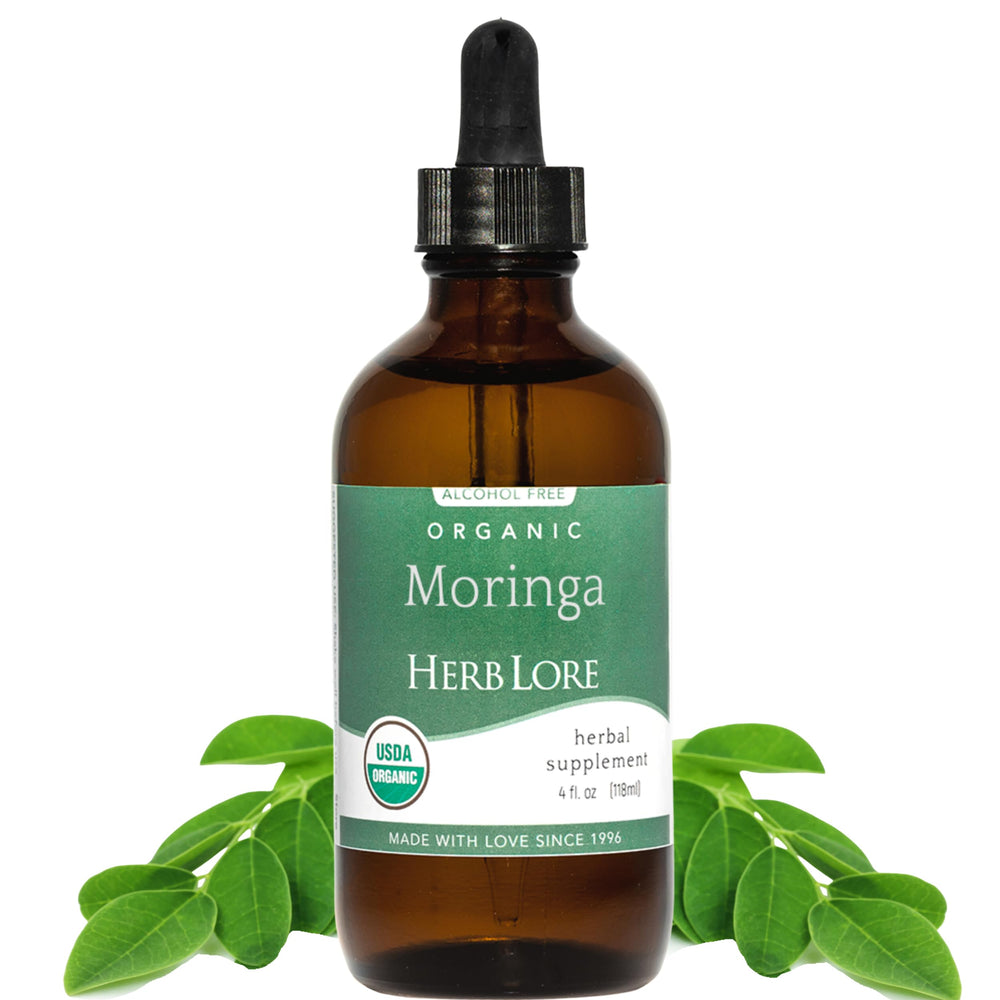 Herb Lore Moringa tincture bottle close-up, pure organic leaf quality