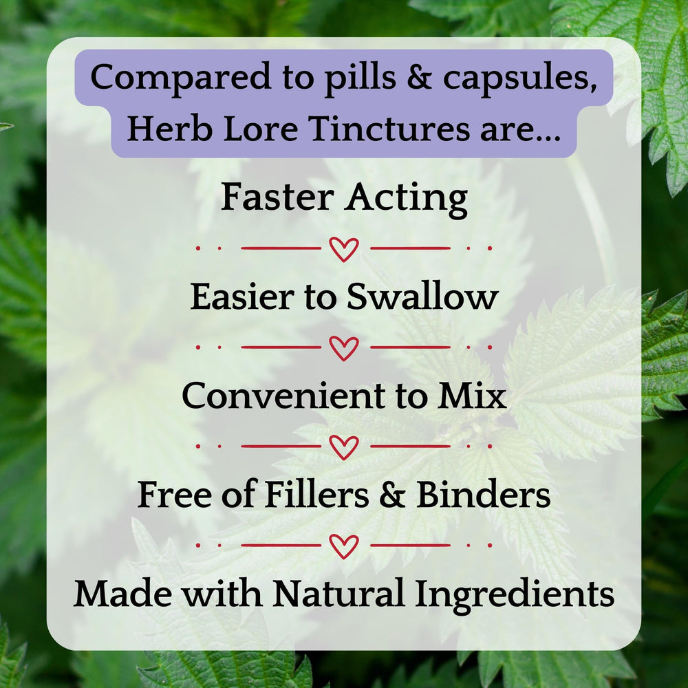 Herb Lore tincture with glycerine base conveys gentle, family-friendly use for everyday routines.