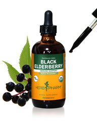 Herb Pharm Black Elderberry liquid extract bottle ready for immune support.