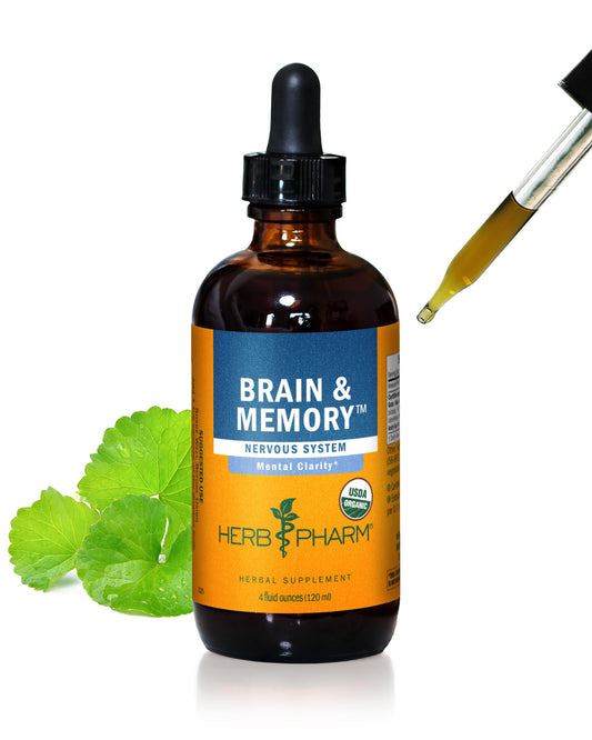 Herb Pharm Brain and Memory liquid bottle ready for daily focus support