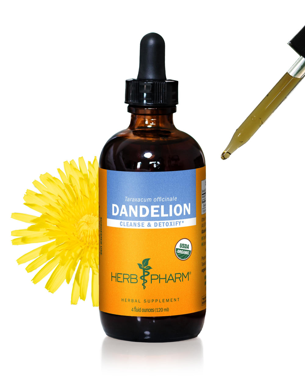 Herb Pharm Dandelion liquid extract bottle ready for easy daily dosing
