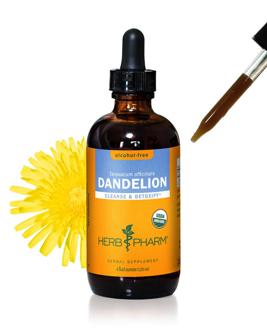 Herb Pharm Dandelion liquid extract bottle ready for daily detox routines.