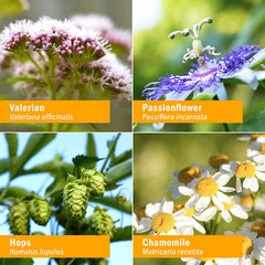Herb Pharm gluten-free non-GMO badge closeup signals clean ingredients.