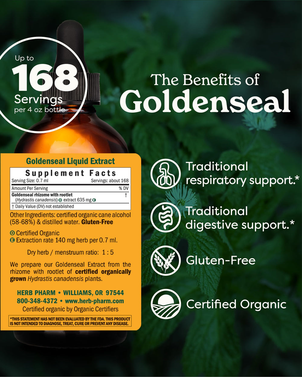 Herb Pharm Goldenseal dropper illustrates convenient dosing for flexible use.