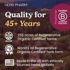 Guayusa plant and capsules signaling plant-based energy