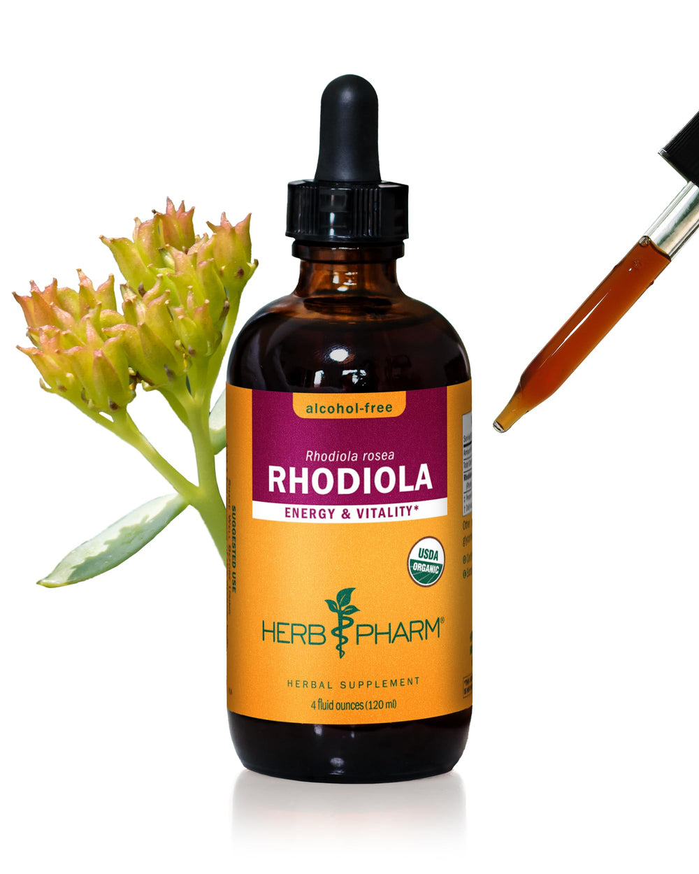 Herb Pharm Rhodiola root extract bottle prepared for energy support