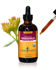 Herb Pharm Rhodiola root extract bottle prepared for energy support