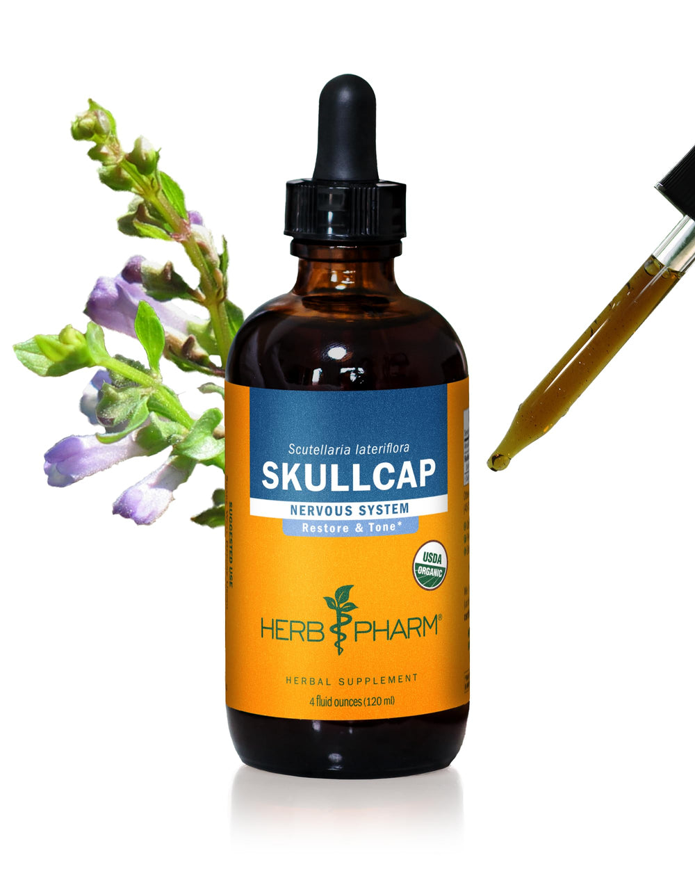 Herb Pharm Skullcap liquid extract bottle for daily use and nervous system support