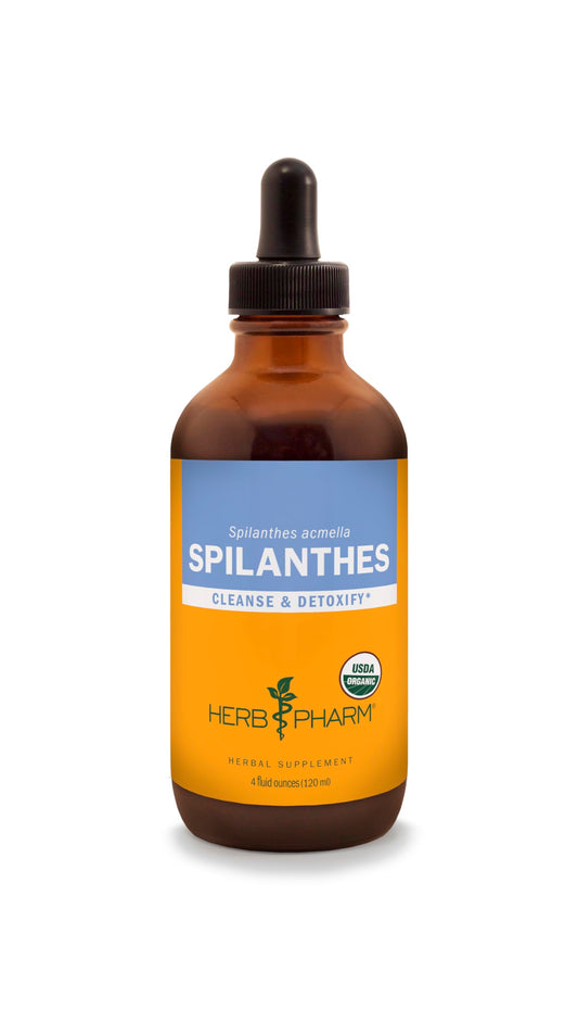 Herb Pharm Spilanthes liquid extract bottle for easy detox support.